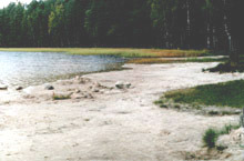 photograph