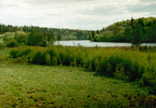 photograph