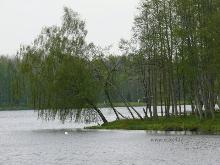 photograph