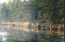 fotogrāfija