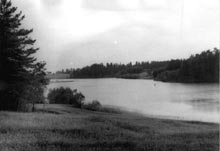 photograph
