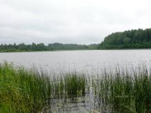 fotogrāfija