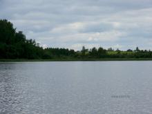 fotogrāfija