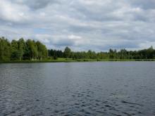 fotogrāfija