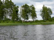 fotogrāfija