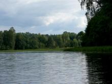 fotogrāfija