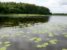 fotogrāfija