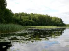 fotogrāfija