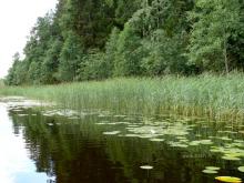 fotogrāfija