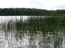fotogrāfija