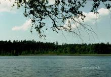 fotogrāfija