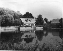 photograph