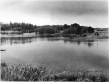 photograph