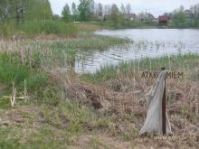 fotogrāfija
