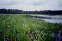 photograph