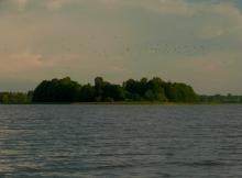 photograph
