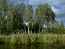 photograph