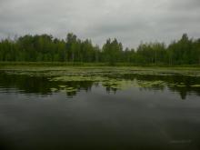 photograph