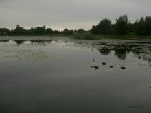 photograph