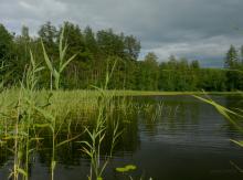 photograph