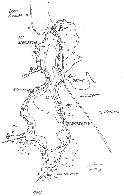 hydrological map