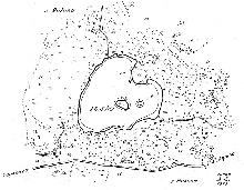 hydrological map