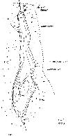 hydrological map