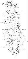 hydrological map