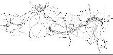 topographical map