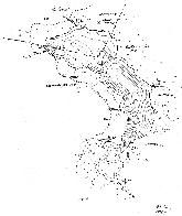 hydrological map