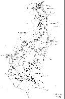 hydrological map