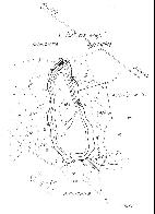 hydrological map