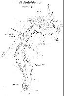 hydrological map