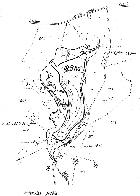 hydrological map