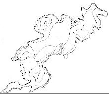 hydrological map