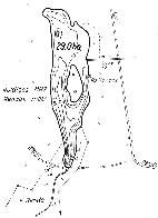 hydrological map