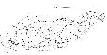 hydrological map