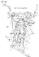 hydrological map