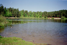 photograph