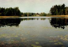 photograph