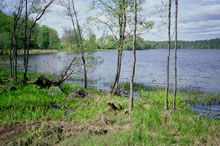 photograph