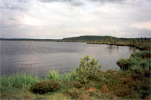 fotogrāfija