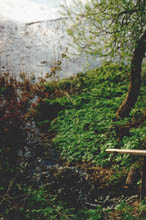 photograph