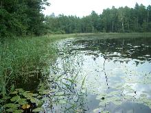 fotogrāfija