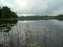 fotogrāfija