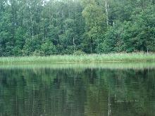 fotogrāfija