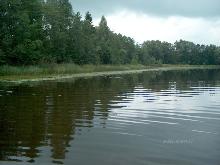 fotogrāfija