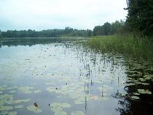 fotogrāfija