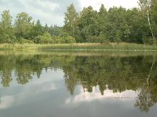 fotogrāfija