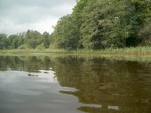 fotogrāfija